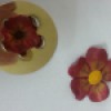 Fimo